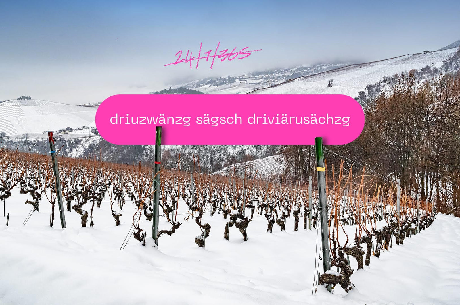 driuzwänzg sägsch driviärusächzg