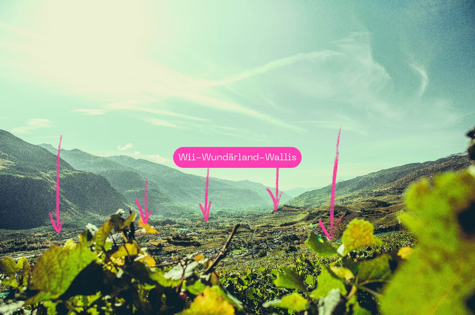 Wii-Wundärland-Wallis