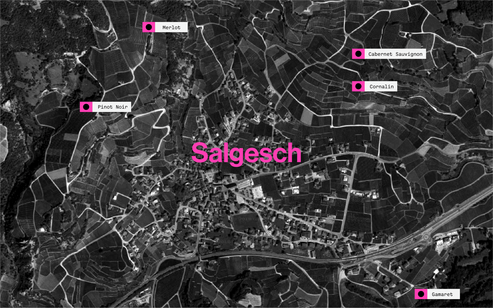 Von hier kommen unsere Trauben aus Salgesch in unsere Weine