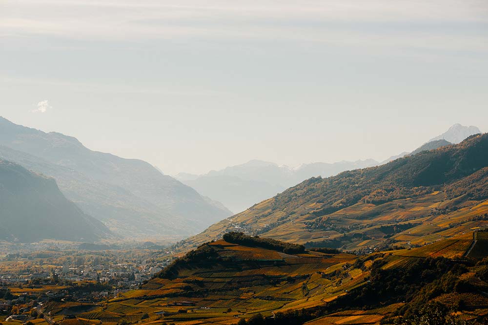 Aussicht von Salgesch in Richtung Unterwallis