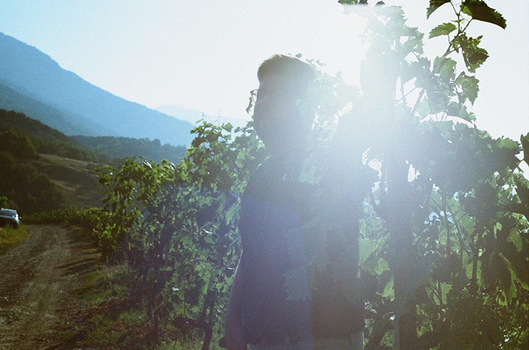 Sandro in den Reben in Miège