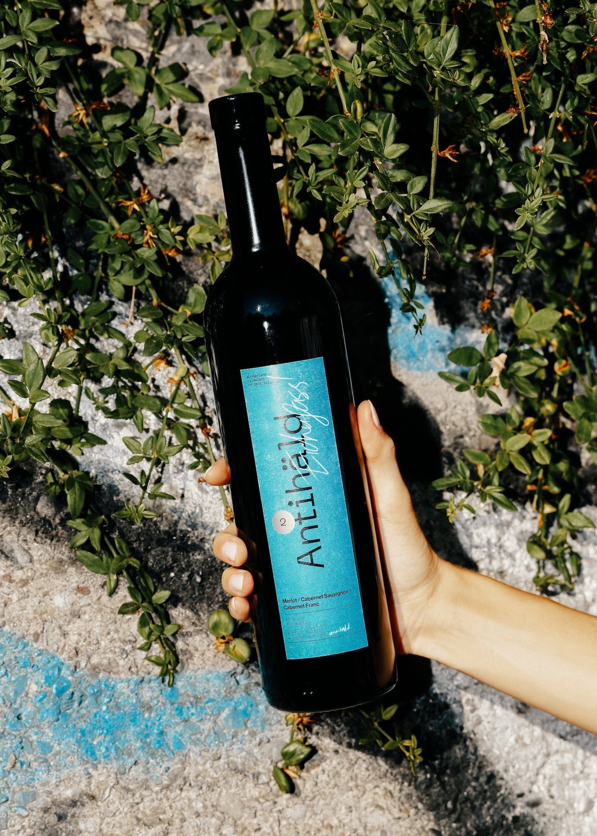 ANTIHÄLD 2 (Eichenfass) - Merlot / Cabernet Sauvignon / Cabernet Franc - Wundärland