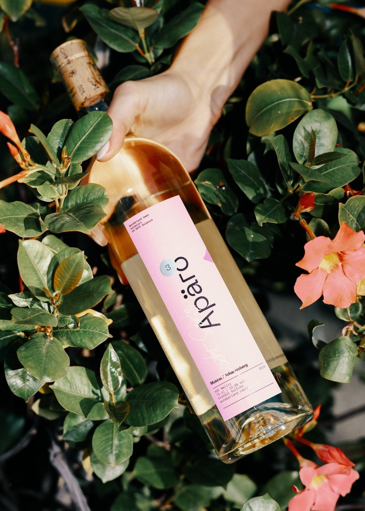 APÄRO 3 2019 - Muscat / Johannisberg - Wundärland