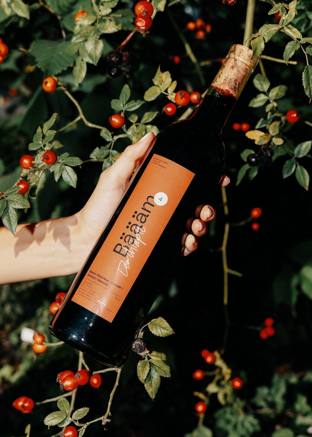 BÄÄÄM 4 2019 - Merlot / Pinot Noir / Cornalin / Diolinoir / Gamaret - Wundärland