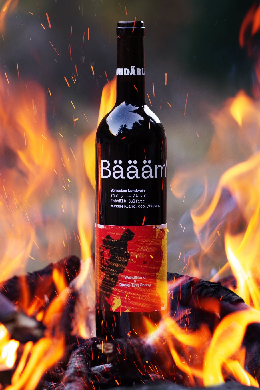 Bäääm 6 - Wundärland