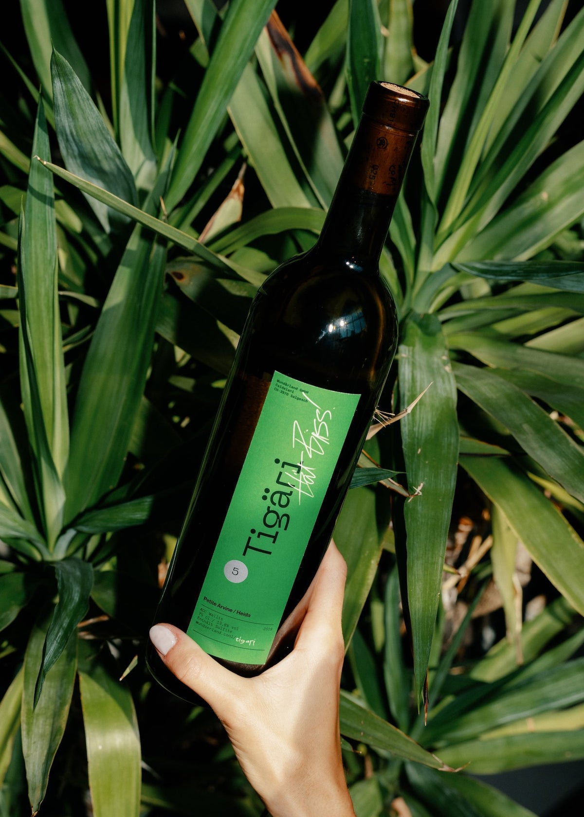 TIGÄRI 5 2019 - Petite Arvine / Heida - Wundärland