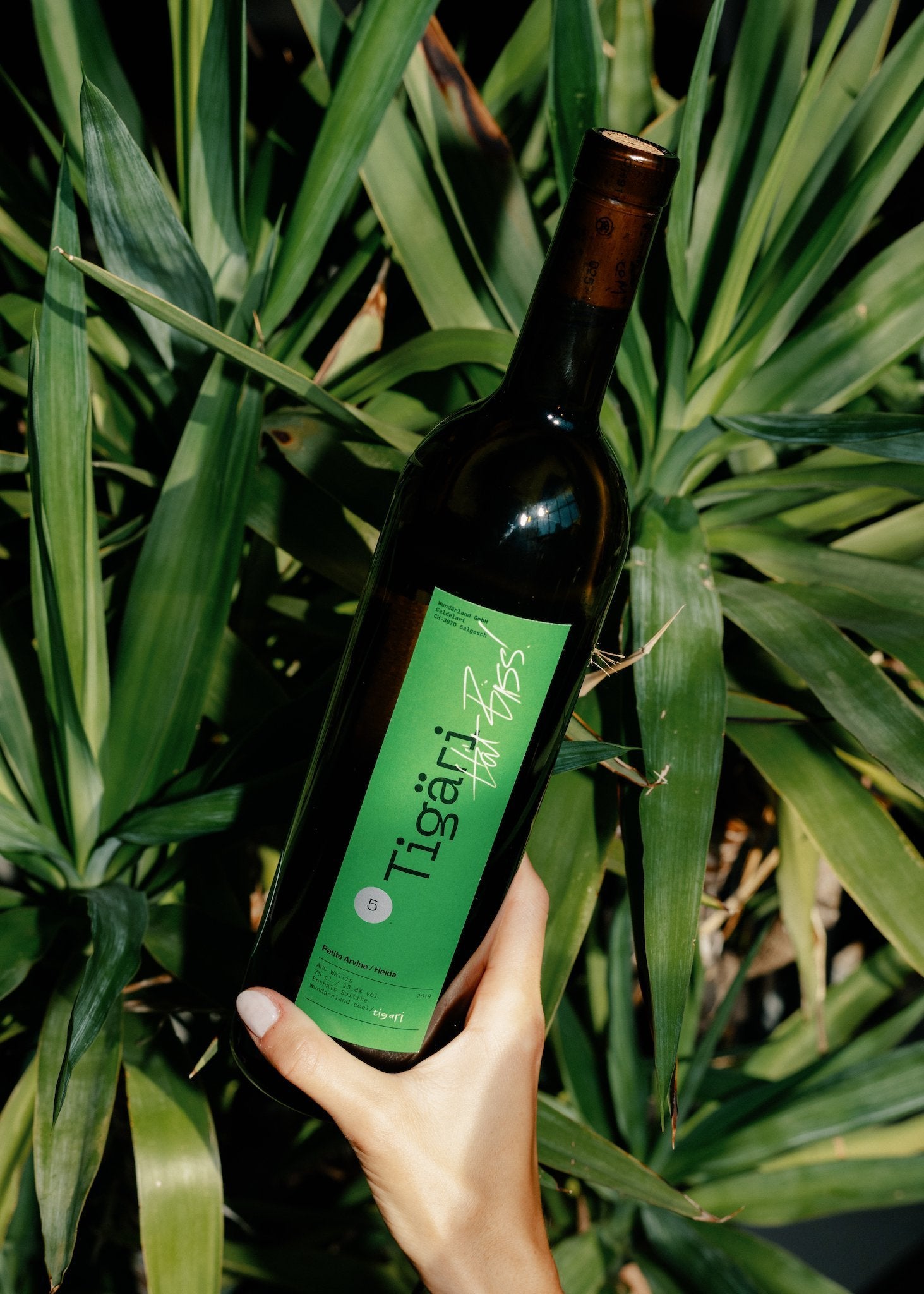 TIGÄRI 5 2019 - Petite Arvine / Heida - Wundärland